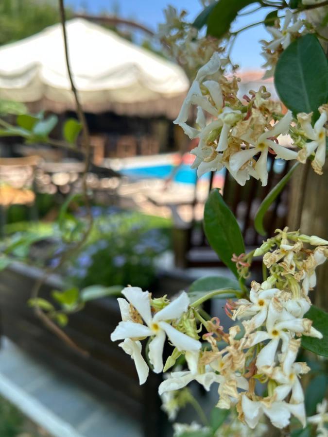 Pupa Alacati Butik Otel Çeşme Kültér fotó