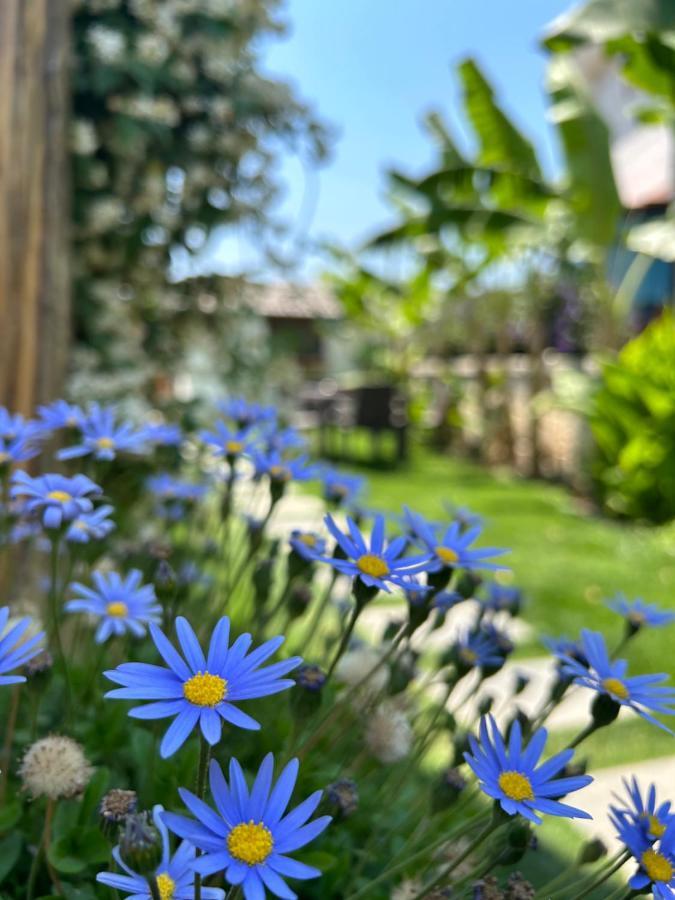 Pupa Alacati Butik Otel Çeşme Kültér fotó